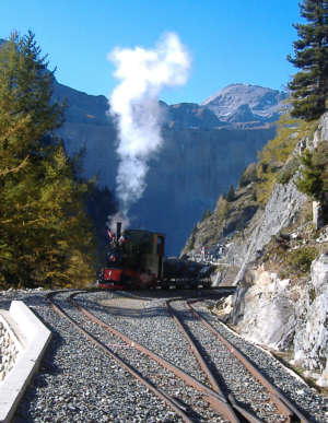 Güterzug mit Dampflok