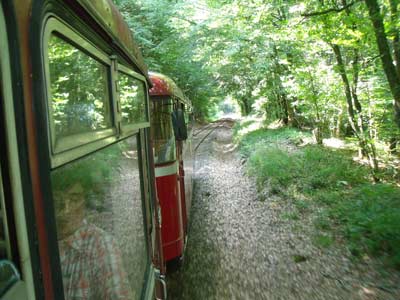 Fahrt durch den Wald