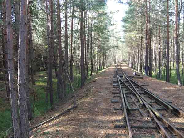 Rangieren im Wald