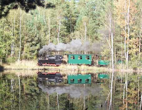 Waldsee